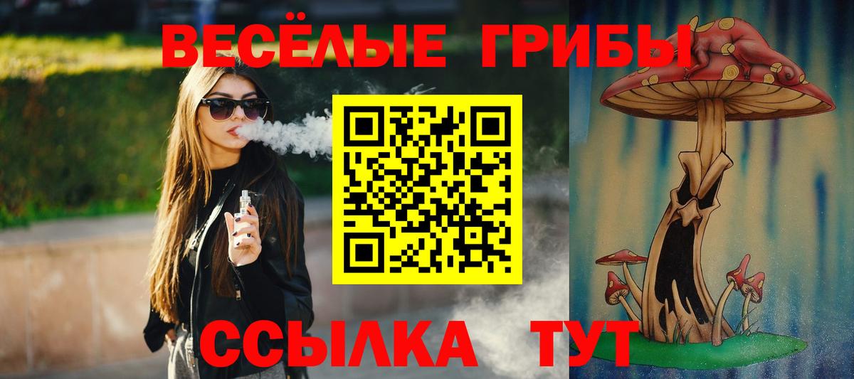 Кудрово  Псилоцибиновые грибы GOLDEN TEACHER  Вход с VPN  Галлюциногенные грибы MAGIC MUSHROOMS 
